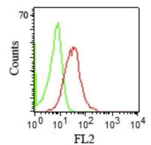 Flow cytometric analysis of human PBMCs using Anti-CD1b Antibody [RIV12]