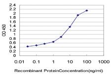 Anti-PDE3B Mouse Monoclonal Antibody [clone: 4A4]