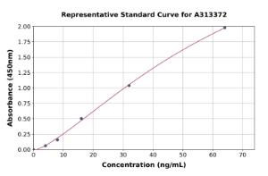 Representative standard curve for human PAPP A2 ELISA kit (A313372)