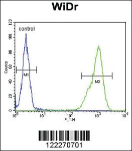 Anti-TPPP3 Rabbit Polyclonal Antibody