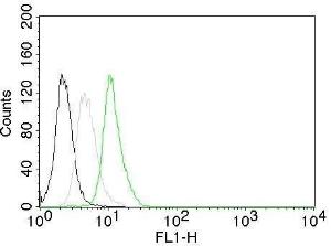 Antibody A249858-100 100 µg