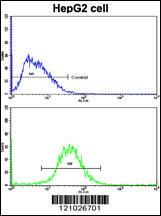 Anti-FTH1 Rabbit Polyclonal Antibody (AP (Alkaline Phosphatase))