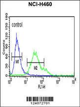 Anti-FCGR1A Rabbit Polyclonal Antibody (APC (Allophycocyanin))