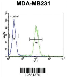 Anti-AP1S1 Rabbit Polyclonal Antibody