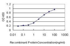 Anti-MCF2L Mouse Monoclonal Antibody [clone: 1D11]