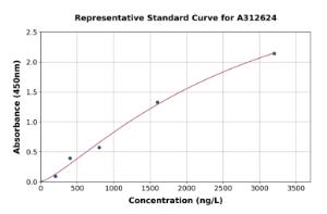 Representative standard curve for Human Otx2 ELISA kit (A312624)