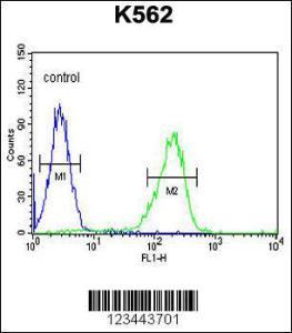 Anti-CLIC6 Rabbit Polyclonal Antibody (APC (Allophycocyanin))