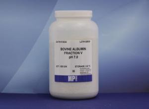 Bovine serum albumin (BSA), Fraction V