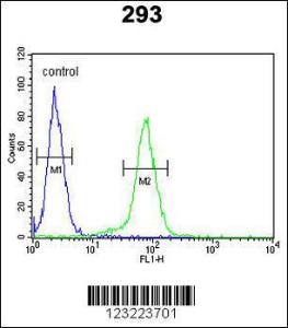 Anti-CLDN8 Rabbit Polyclonal Antibody