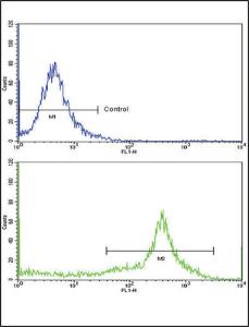 Anti-HLA Class 2 Antigen DRB1 Rabbit Polyclonal Antibody