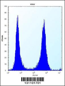 Anti-FCN3 Rabbit Polyclonal Antibody