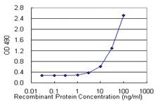 Anti-TNFA Mouse Monoclonal Antibody (Biotin)