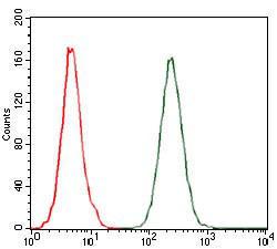 Anti-CCL2 Mouse monoclonal antibody unconjugated [clone: 2D8]