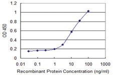 Anti-CFC1 Mouse Monoclonal Antibody [clone: 2G4]