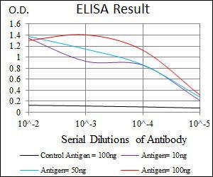 Anti-CCL2 Mouse monoclonal antibody unconjugated [clone: 2D8]