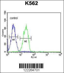 Anti-CD300LF Rabbit Polyclonal Antibody (FITC (Fluorescein Isothiocyanate))