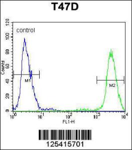 Anti-PIGM Rabbit Polyclonal Antibody