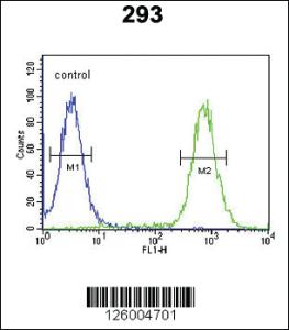 Anti-RPL23 Rabbit Polyclonal Antibody