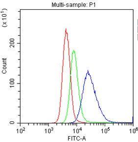 Anti-CD20 Polyclonal Antibody