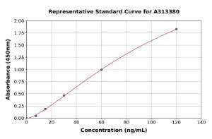 Representative standard curve for mouse CD146 ELISA kit (A313380)