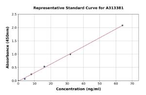 Representative standard curve for human CD226 ELISA kit (A313381)