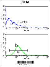 Anti-HLA-B-associated Transcript 4 Rabbit Polyclonal Antibody (APC (Allophycocyanin))