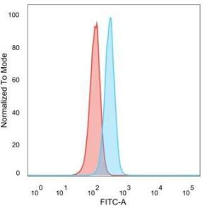 Flow cytometric analysis of PFA-fixed HeLa cells using Anti-PRMT7 Antibody [PCRP-PRMT7-1A4] followed by Goat Anti-Mouse IgG (CF and #174; 488) (Blue). Unstained cells (Red)