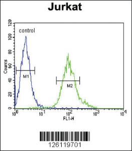 Anti-GNB1 Rabbit Polyclonal Antibody