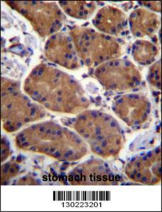 Anti-ASPH Rabbit Polyclonal Antibody