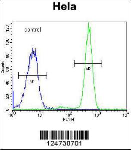 Anti-POLR3H Rabbit Polyclonal Antibody (HRP (Horseradish Peroxidase))