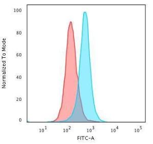 Flow cytometric analysis of PFA fixed K562 cells using Anti-Calponin 1 Antibody [SPM169] followed by Goat Anti-Mouse IgG (CF&#174; 488) (Blue). Isotype Control (Red).