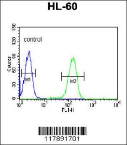 Anti-PLVAP Rabbit Polyclonal Antibody (AP (Alkaline Phosphatase))