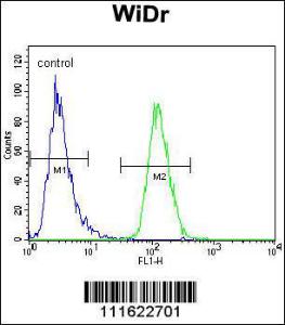 Anti-PIK3R5 Rabbit Polyclonal Antibody