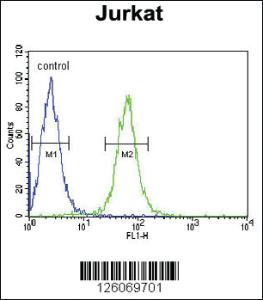 Anti-HVCN1 Rabbit Polyclonal Antibody