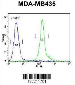 Anti-CLEC10A Rabbit Polyclonal Antibody