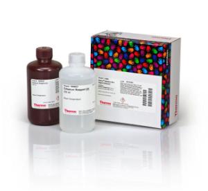 Pierce™ Western Blot Signal Enhancer