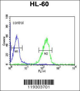 Anti-FKBP11 Rabbit Polyclonal Antibody (AP (Alkaline Phosphatase))