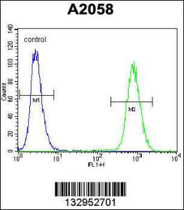 Anti-FGF11 Rabbit Polyclonal Antibody (HRP (Horseradish Peroxidase))