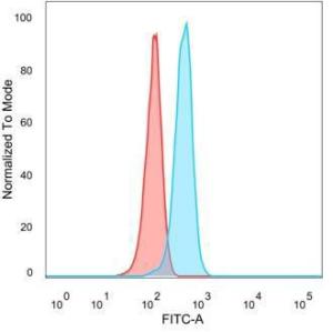 Flow cytometric analysis of PFA-fixed HeLa cells using Anti-PRMT7 Antibody [PCRP-PRMT7-1A7] followed by Goat Anti-Mouse IgG (CF&#174; 488) (Blue). Unstained cells (Red).