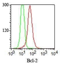 Intracellular staining of Bcl-2 in Jurkat cells using Anti-Bcl-2 Antibody [100/D5+124] (red) and isotype control (green)