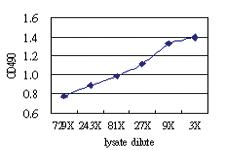 Anti-GCK Antibody Pair