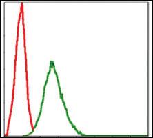 Anti-SKP1 Mouse Monoclonal Antibody [clone: 4E11]