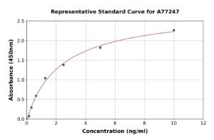 Representative standard curve for Human REG4 ELISA kit (A77247)