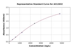 Representative standard curve for Human SerpinB8 ELISA kit (A312632)