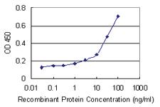 Anti-UBR1 Mouse Monoclonal Antibody [clone: 4G7]