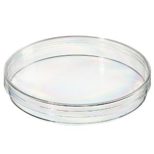 Standard 90 mm petri dishes