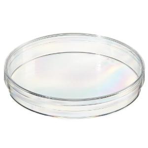 Standard 90 mm petri dishes