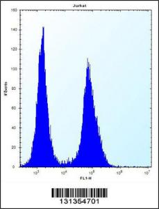 Anti-LGALS4 Rabbit Polyclonal Antibody (FITC (Fluorescein Isothiocyanate))