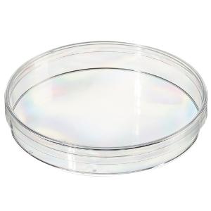 Standard 90 mm petri dishes