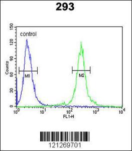 Anti-TCERG1L Rabbit Polyclonal Antibody (AP (Alkaline Phosphatase))